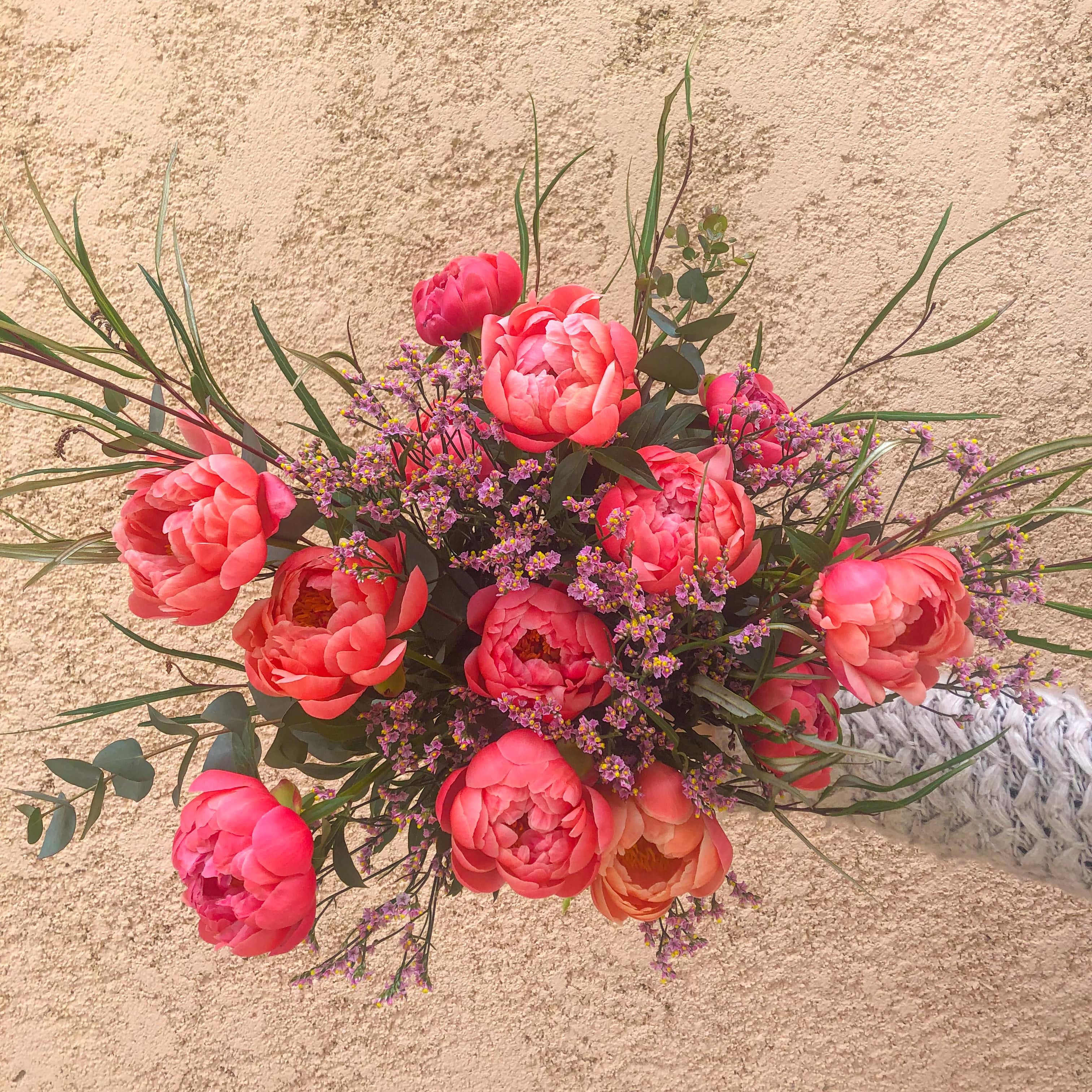 CORAL CHARM